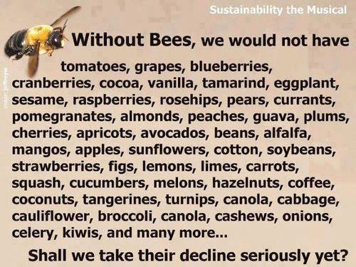 1508648_539109762851817_1736539987_n