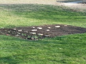 the start of a garden