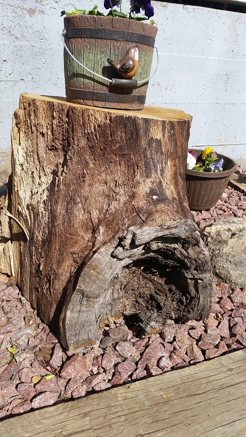 Our future gnome house - as soon as we make a door.