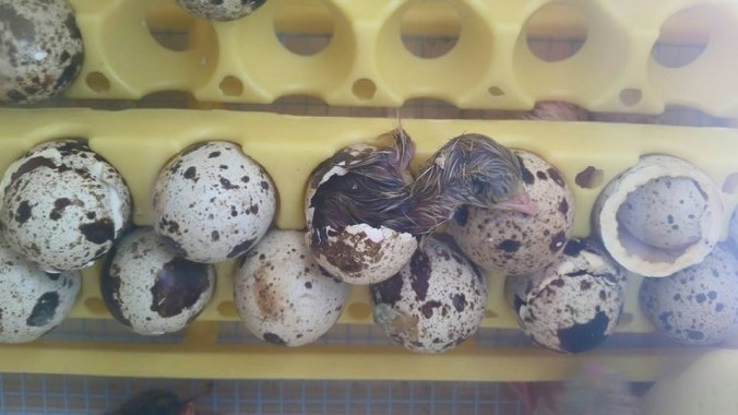 This is what we were greeted with Thursday morning.