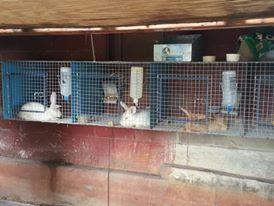 10334272_10203241667595744_713546845153572320_n