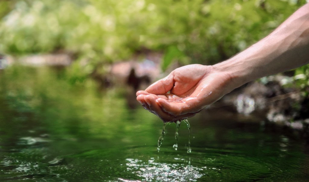 Hand holding clear water from a stream.